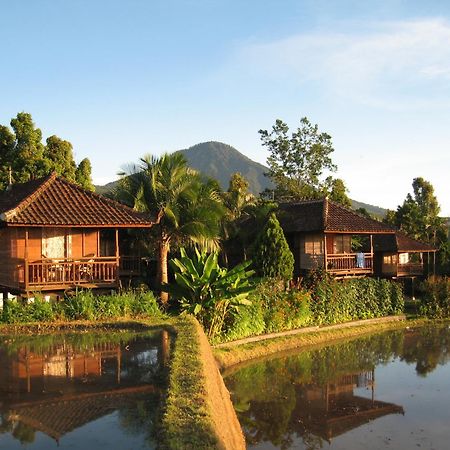 Puri Lumbung Cottages Restaurant & Spa Munduk Eksteriør billede