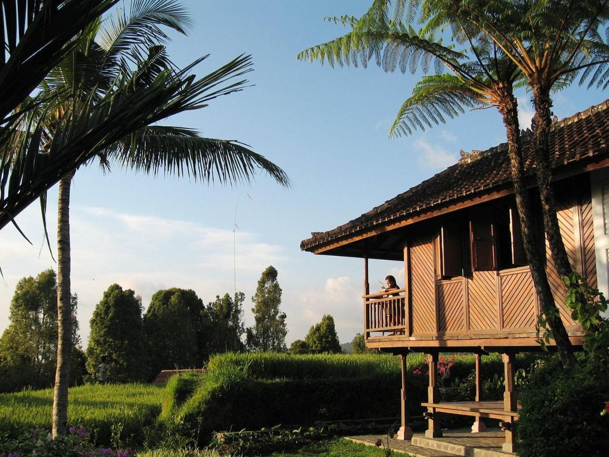 Puri Lumbung Cottages Restaurant & Spa Munduk Eksteriør billede