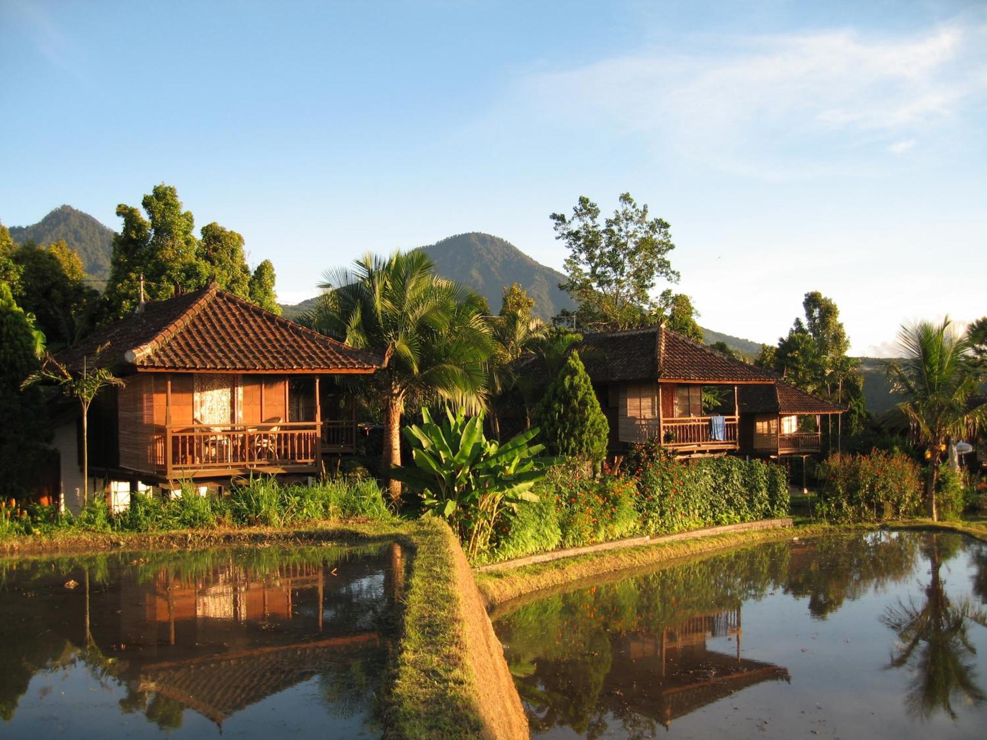 Puri Lumbung Cottages Restaurant & Spa Munduk Eksteriør billede